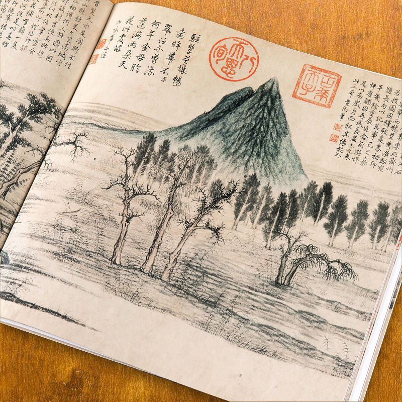 Libro de pintura a mano alzada - Chinese Calligraphy Practice Book reseña y precio