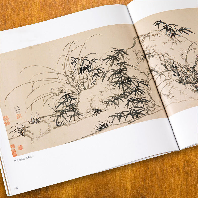Libro de pintura a mano alzada - Chinese Calligraphy Practice Book reseña y precio