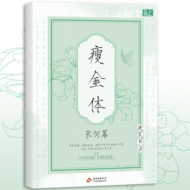Libro de caligrafía china Song - Chinese Calligraphy Practice Book reseña y precio